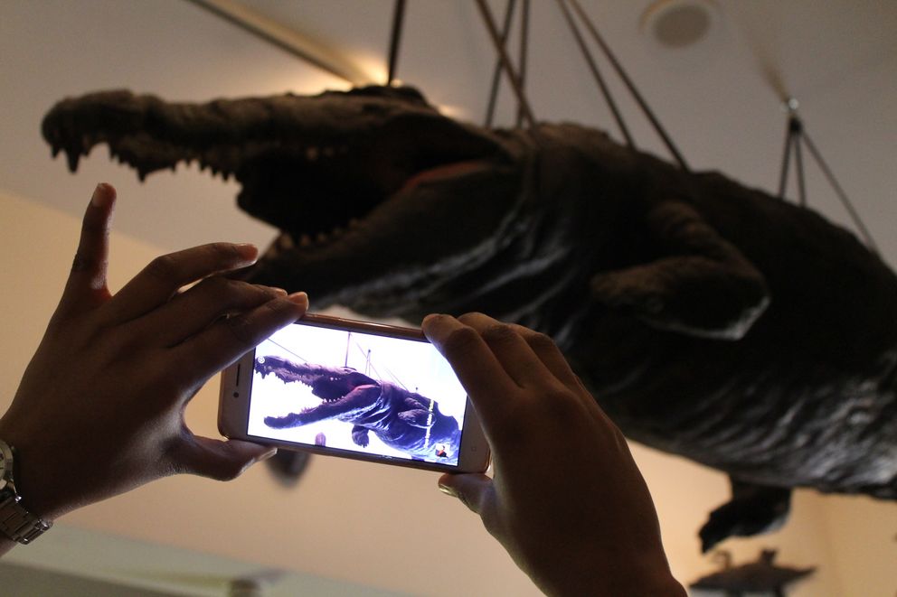 Das ausgestopfte Krokodil im Cabinet of Artefacts and Natural Curiosities gehört zu den beliebtesten Fotomotiven der Franckeschen Stiftungen. Auf dem Handydisplay im Vordergrund ist das Krokodil in der Wunderkammer im Hintergrund zu sehen.