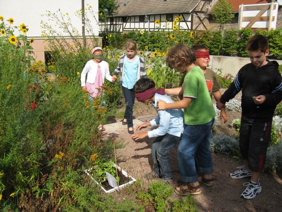 Children moving through the Pflanzgarten with blindfolds, discovering plants and nature using their other senses