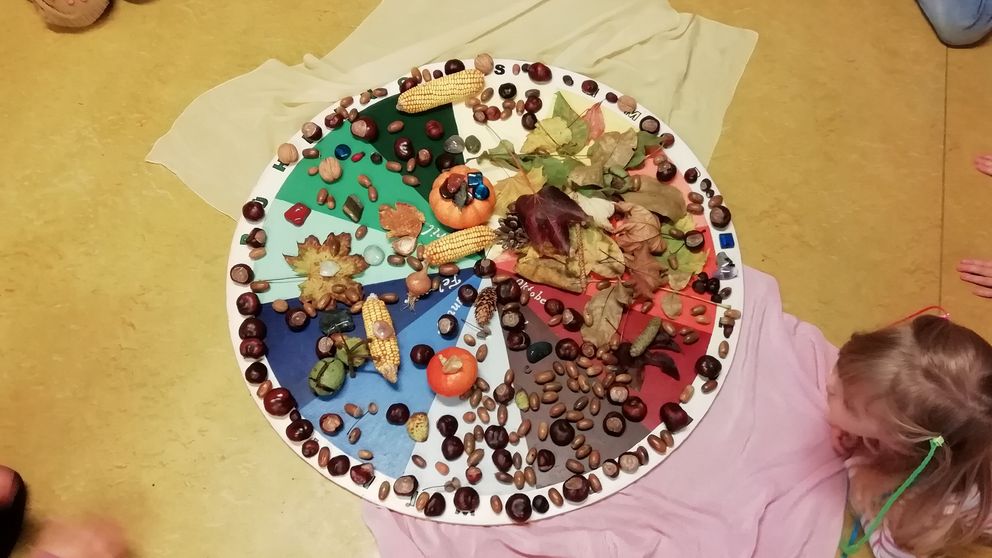 Verschieden Naturmaterialien des Herbstes sind in einem Kreis arrangiert.