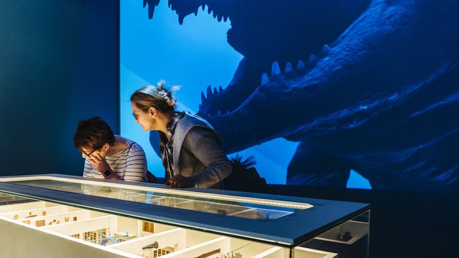 Zwei Besucher betrachten eine Vitrine der Ausstellung, hinter ihnen zeigt ein Beamer das geöffnete Maul des krokodils in der Kunst- und Naturalienkammer.
