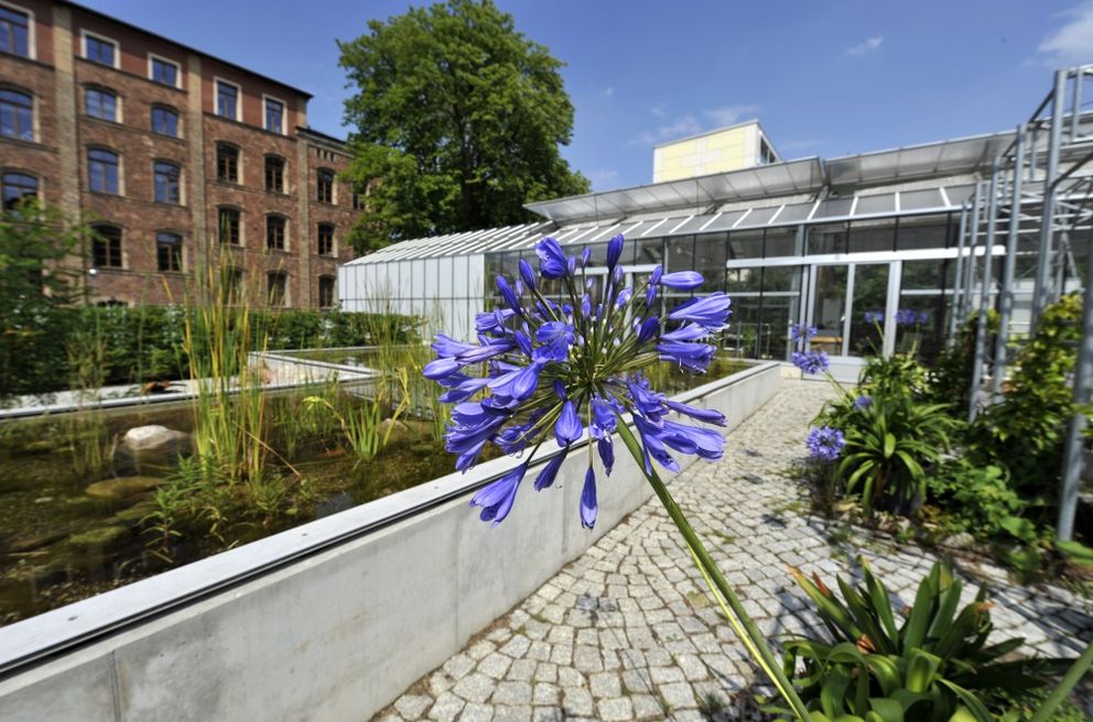 Panoramablick auf den Teich und die Gewächshäuser des Pflanzgartens, umgeben von grüner Pflanzenpracht