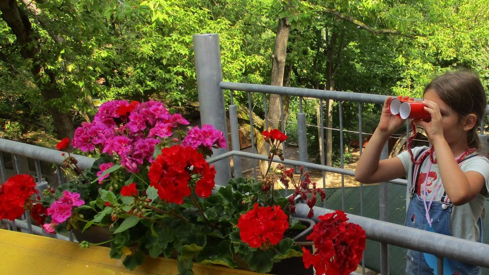 Ein Kind mit einem selbstgebastelten Fernrohr